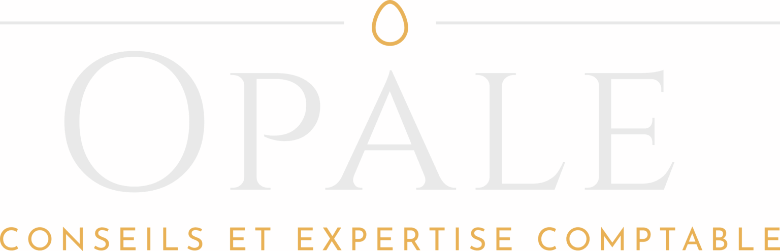 LOGO-EXPERT-COMPTABLE-MORESTEL-38510-