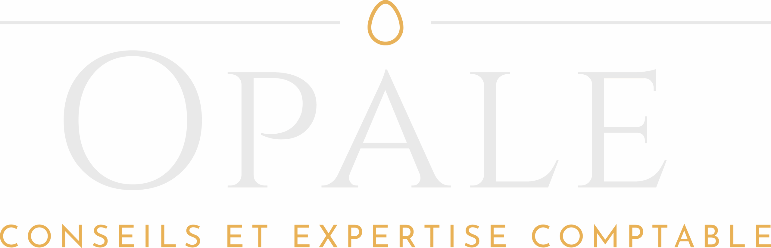 LOGO-EXPERT-COMPTABLE-MORESTEL-38510-