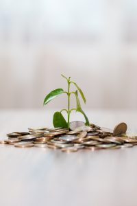 Pile de monnaie avec pousse de plante au milieu Fiscalité & Conseil Patrimonial